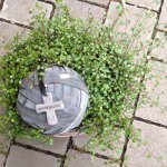 allerheiligen-blumen-fink-01