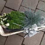 allerheiligen-blumen-fink-03