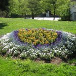 garten-beet-blumen-fink-3