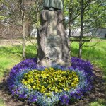 garten-beet-blumen-fink-4