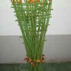 decorazione
