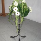 matrimonio