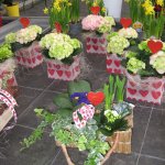 muttertag-blumen-fink-03