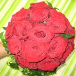 strauss-blumen-fink-09