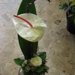 strauss-blumen-fink-02