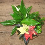 weihnachten-blumen-fink-02